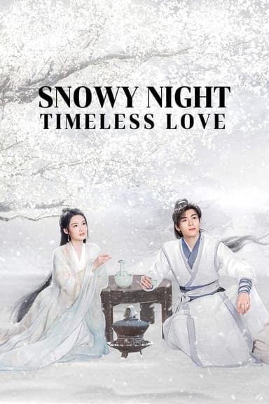 Snowy Night